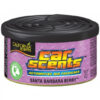 CALIFORNIA SCENTS - Lesné plody(Santa Barbara Berry) California Scents Tuning.Cool