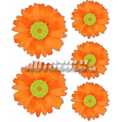 Samolepky set Margarétky 5ks AutoZulu Tuning.Cool