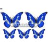 Samolepky set Motýľ modrý 5ks AutoZulu Tuning.Cool