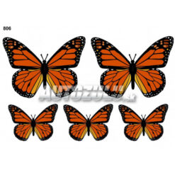 Samolepky set Motýľ oranžový AutoZulu Tuning.Cool